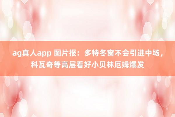 ag真人app 图片报：多特冬窗不会引进中场，科瓦奇等高层看好小贝林厄姆爆发
