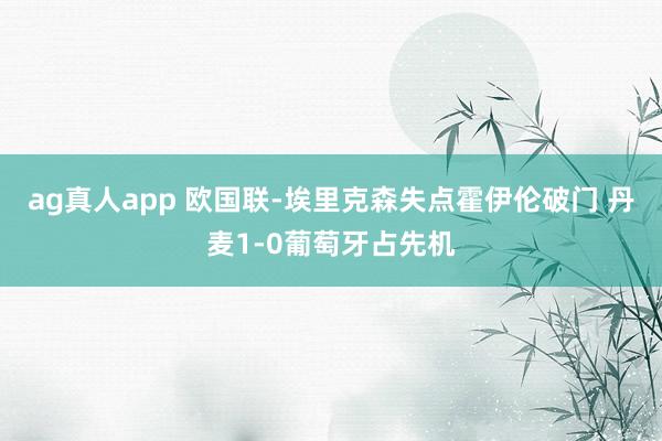 ag真人app 欧国联-埃里克森失点霍伊伦破门 丹麦1-0葡萄牙占先机
