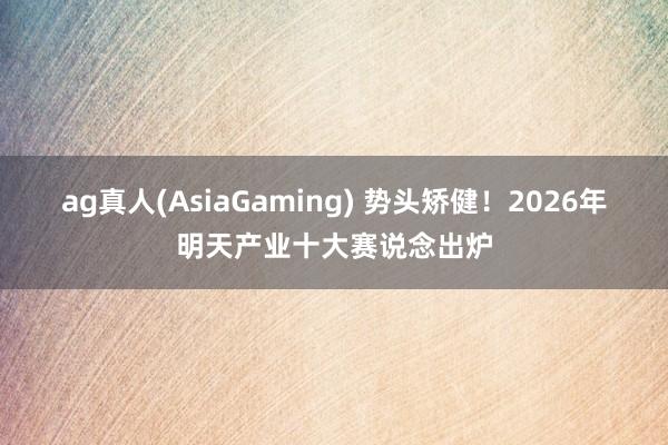ag真人(AsiaGaming) 势头矫健！2026年明天产业十大赛说念出炉