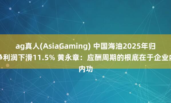 ag真人(AsiaGaming) 中国海油2025年归母净利润下滑11.5% 黄永章：应酬周期的根底在于企业内功