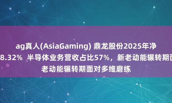 ag真人(AsiaGaming) 鼎龙股份2025年净利润同比增38.32%  半导体业务营收占比57%，新老动能辗转期面对多维磨练