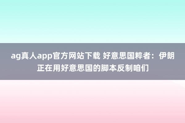 ag真人app官方网站下载 好意思国粹者：伊朗正在用好意思国的脚本反制咱们