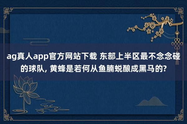 ag真人app官方网站下载 东部上半区最不念念碰的球队， 黄蜂是若何从鱼腩蜕酿成黑马的?