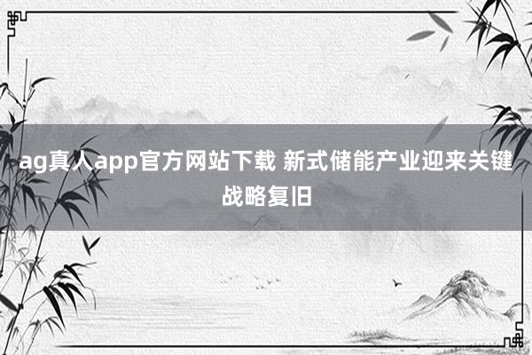 ag真人app官方网站下载 新式储能产业迎来关键战略复旧