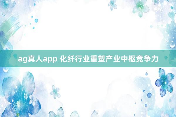 ag真人app 化纤行业重塑产业中枢竞争力