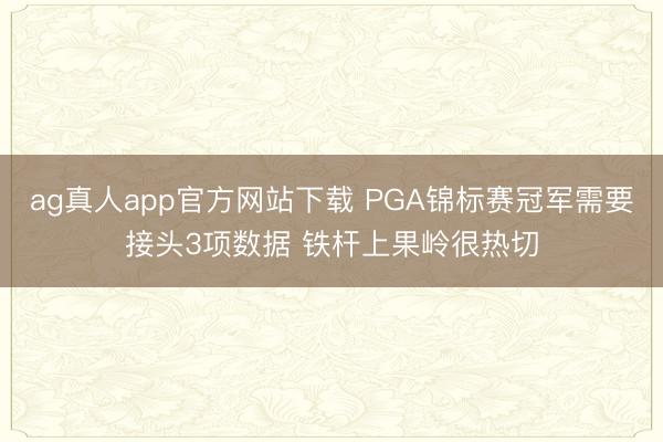 ag真人app官方网站下载 PGA锦标赛冠军需要接头3项数据 铁杆上果岭很热切