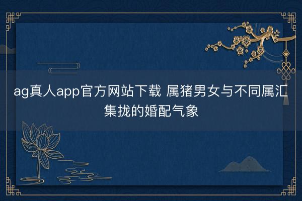 ag真人app官方网站下载 属猪男女与不同属汇集拢的婚配气象