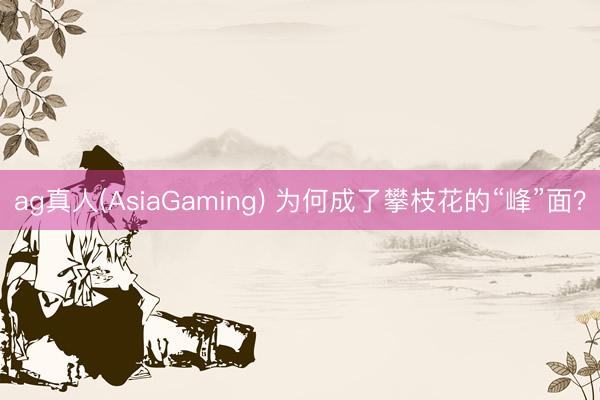 ag真人(AsiaGaming) 为何成了攀枝花的“峰”面？