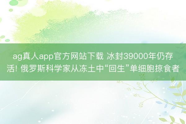 ag真人app官方网站下载 冰封39000年仍存活! 俄罗斯科学家从冻土中“回生”单细胞掠食者