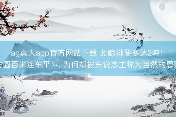 ag真人app官方网站下载 蓝鲸排便多达2吨! 方圆百米连车平斗， 为何却被东说念主称为当然的恩赐