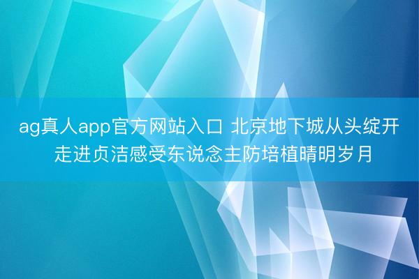 ag真人app官方网站入口 北京地下城从头绽开 走进贞洁感受东说念主防培植晴明岁月