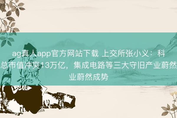 ag真人app官方网站下载 上交所张小义：科创板总市值冲突13万
