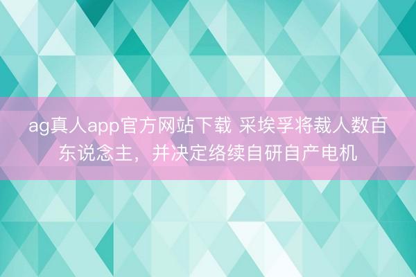 ag真人app官方网站下载 采埃孚将裁人数百东说念主,并决定络续自研自产电机