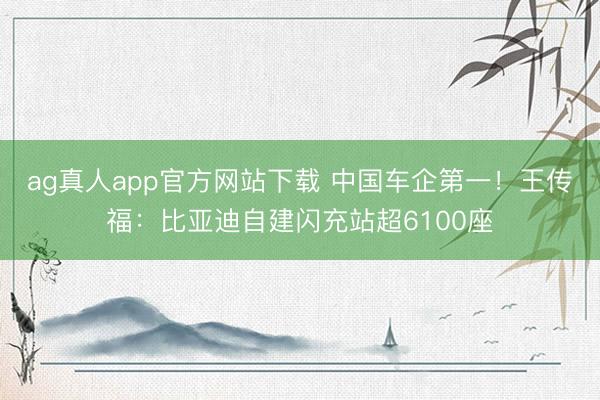 ag真人app官方网站下载 中国车企第一！王传福：比亚迪自建闪充站超6100座