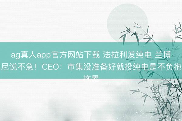 ag真人app官方网站下载 法拉利发纯电 兰博基尼说不急！CEO：市集没准备好就投纯电是不负拖累