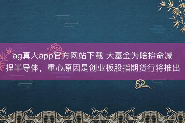 ag真人app官方网站下载 大基金为啥拚命减捏半导体，重心原因是创业板股指期货行将推出