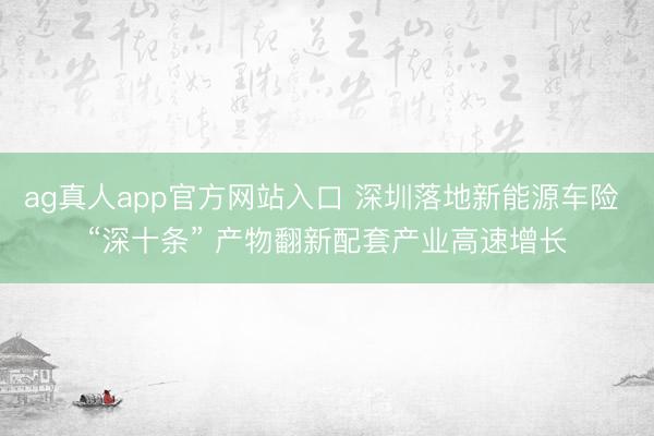 ag真人app官方网站入口 深圳落地新能源车险 “深十条” 产物翻新配套产业高速增长