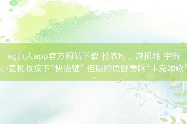ag真人app官方网站下载 抢农时、减损耗 宇宙小麦机收按下“快进键” 但愿的原野奏响“丰充颂歌”