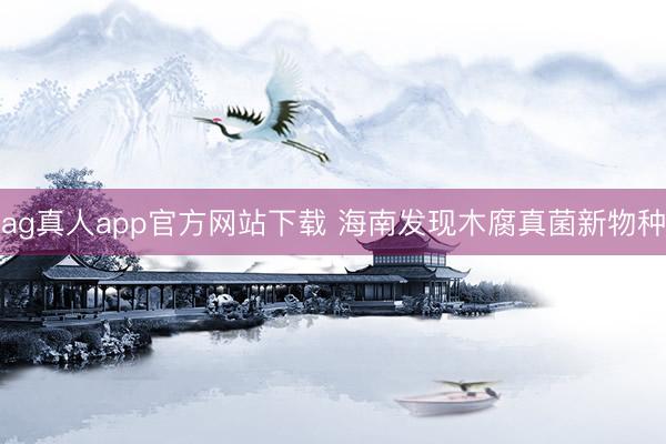 ag真人app官方网站下载 海南发现木腐真菌新物种