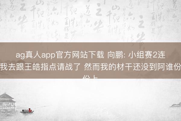 ag真人app官方网站下载 向鹏: 小组赛2连败我去跟王皓指点请战了 然而我的材干还没到阿谁份上