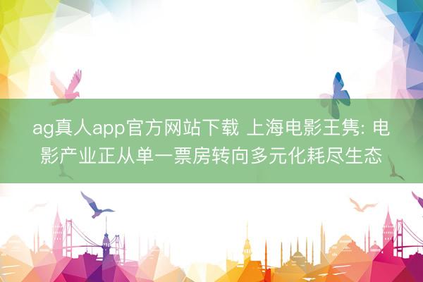 ag真人app官方网站下载 上海电影王隽: 电影产业正从单一票房转向多元化耗尽生态