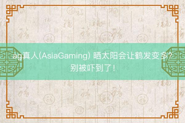 ag真人(AsiaGaming) 晒太阳会让鹤发变多？别被吓到了！