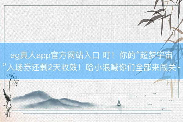 ag真人app官方网站入口 叮！你的“超梦宇宙”入场券还剩2天收效！哈小浪喊你们全部来闯关~